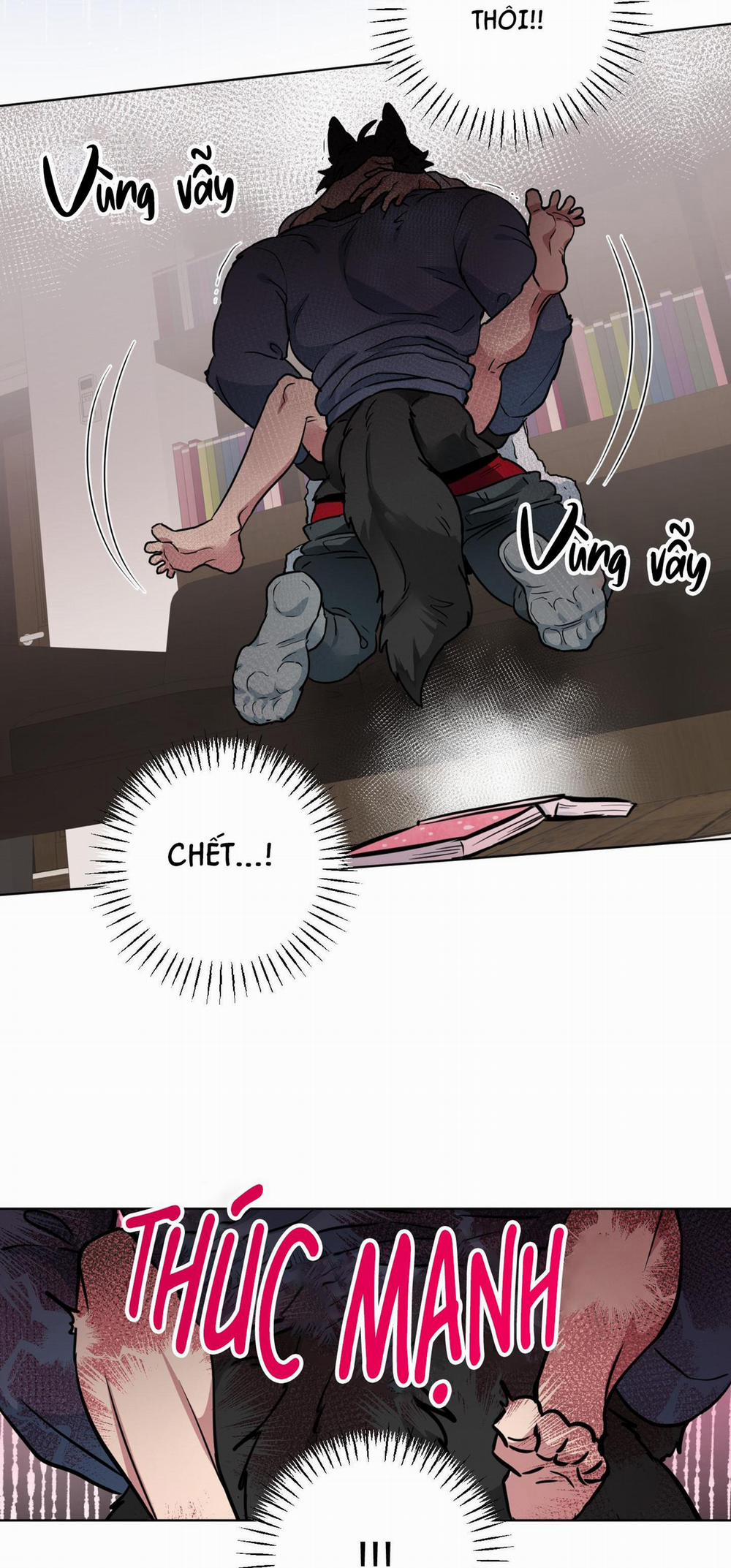 Chú Đã Biết Hết Rồi Sao ? 14 trang 17