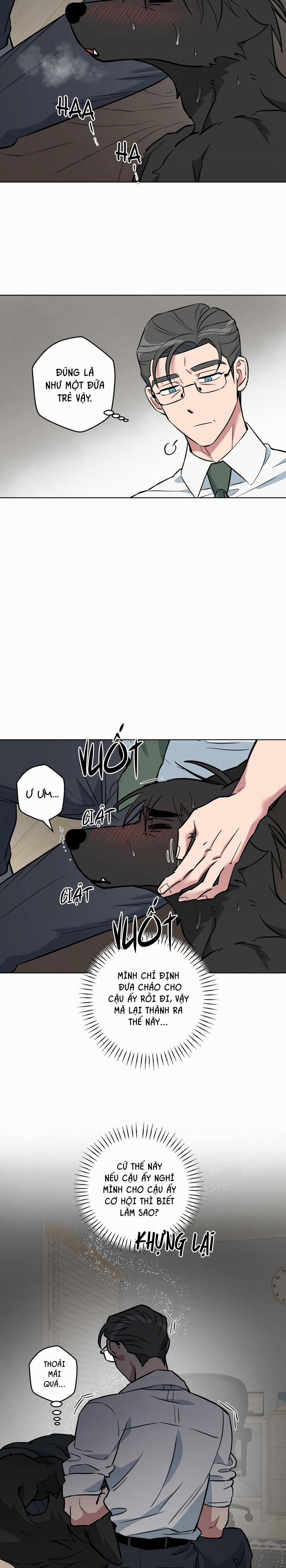 Chú Đã Biết Hết Rồi Sao ? 16 trang 17