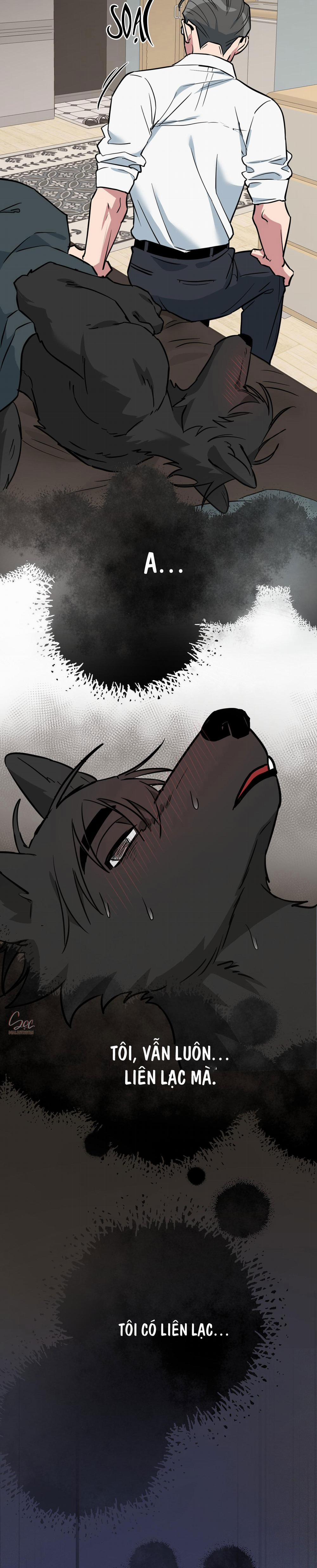 Chú Đã Biết Hết Rồi Sao ? 16 trang 19