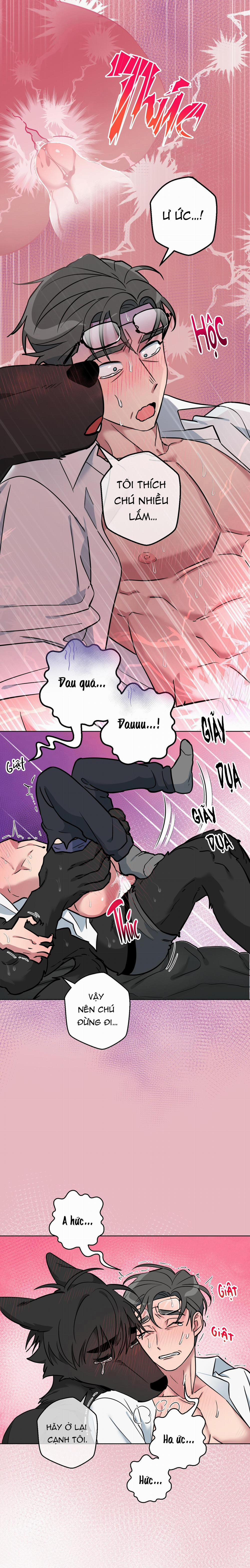 Chú Đã Biết Hết Rồi Sao ? 17 trang 23