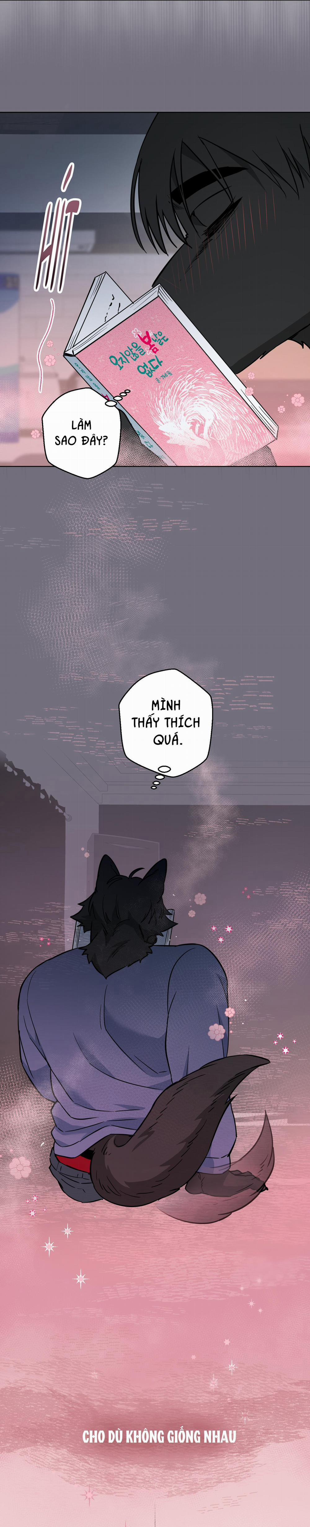 Chú Đã Biết Hết Rồi Sao ? 17 trang 6