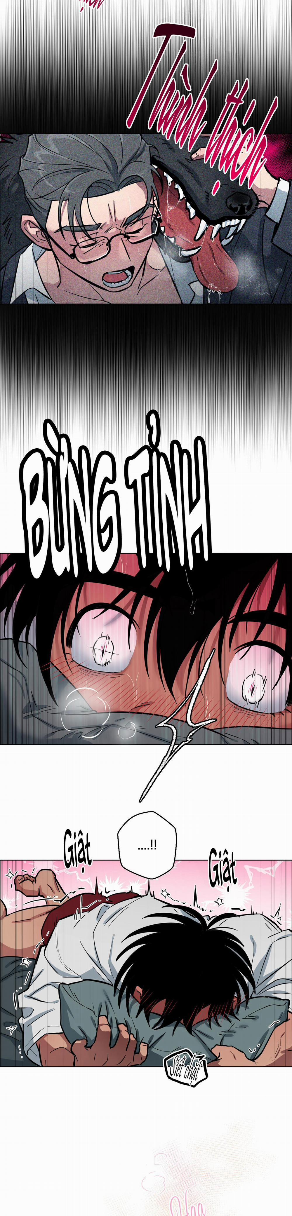 Chú Đã Biết Hết Rồi Sao ? 2 trang 13