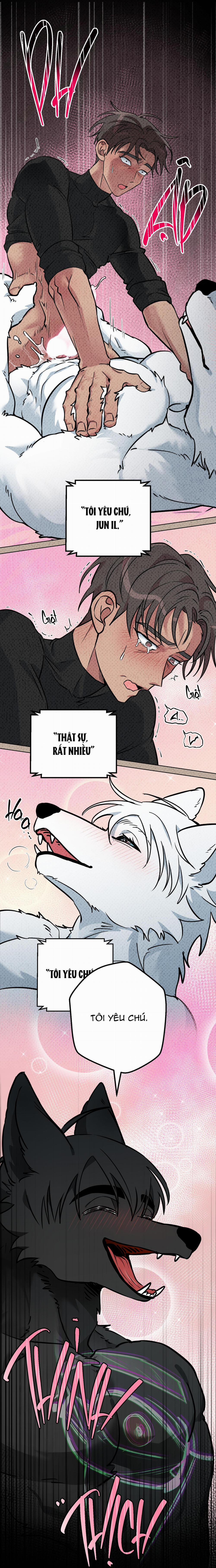 Chú Đã Biết Hết Rồi Sao ? 20 trang 8