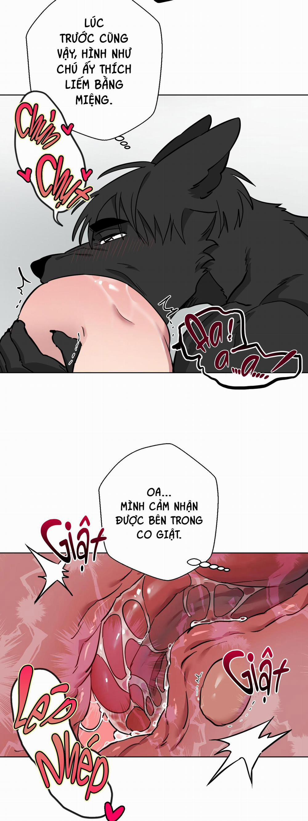 Chú Đã Biết Hết Rồi Sao ? 26 trang 16