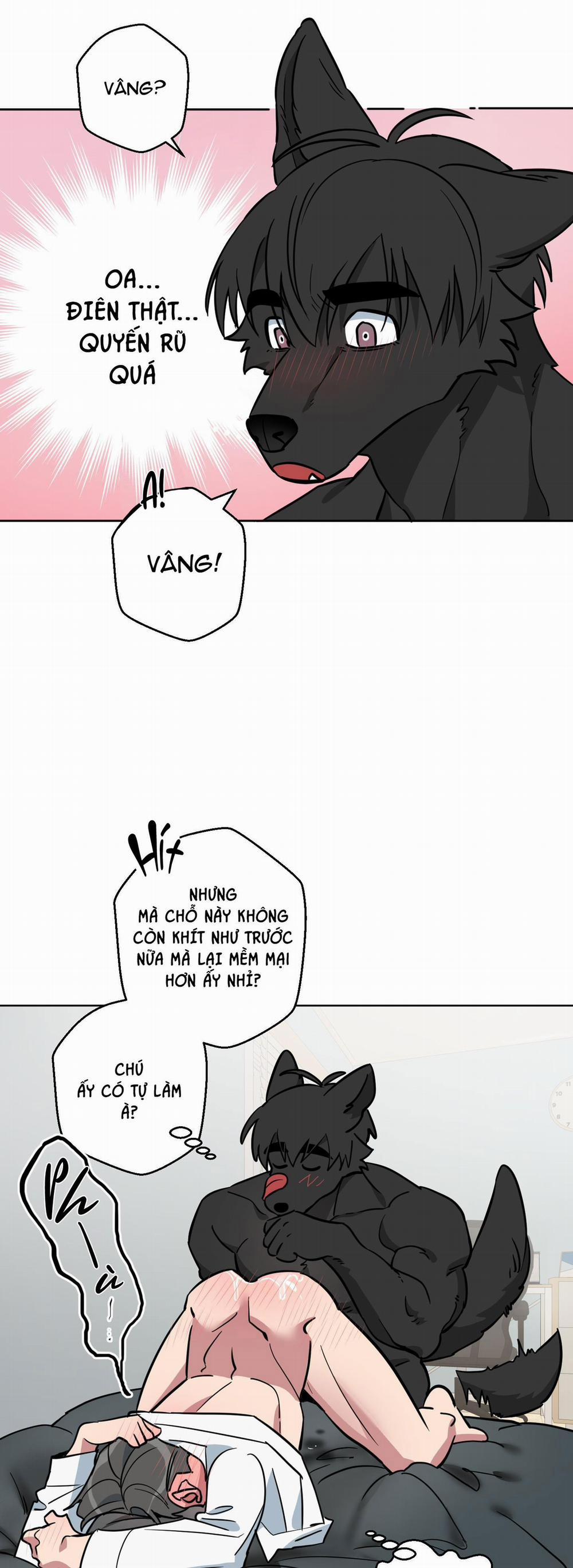 Chú Đã Biết Hết Rồi Sao ? 26 trang 22