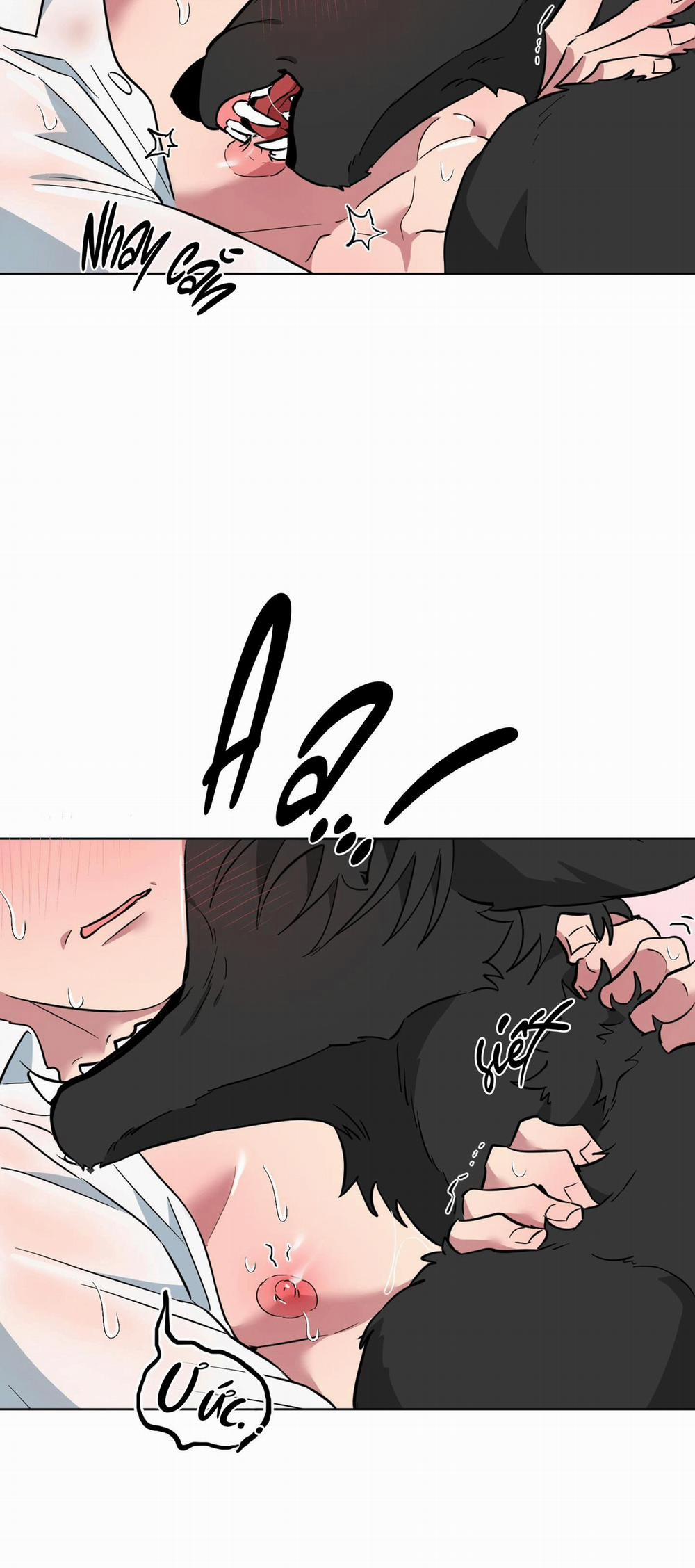 Chú Đã Biết Hết Rồi Sao ? 27 trang 19