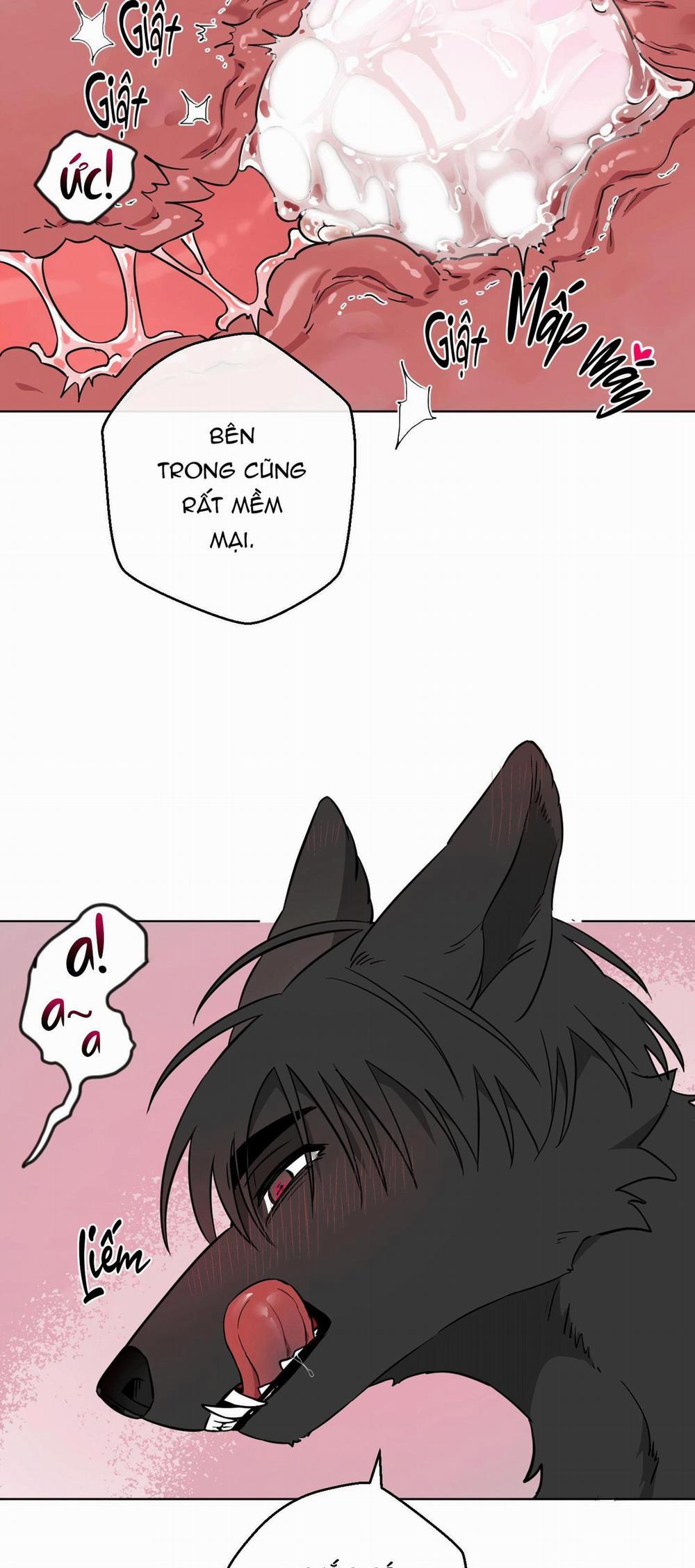 Chú Đã Biết Hết Rồi Sao ? 27 trang 4