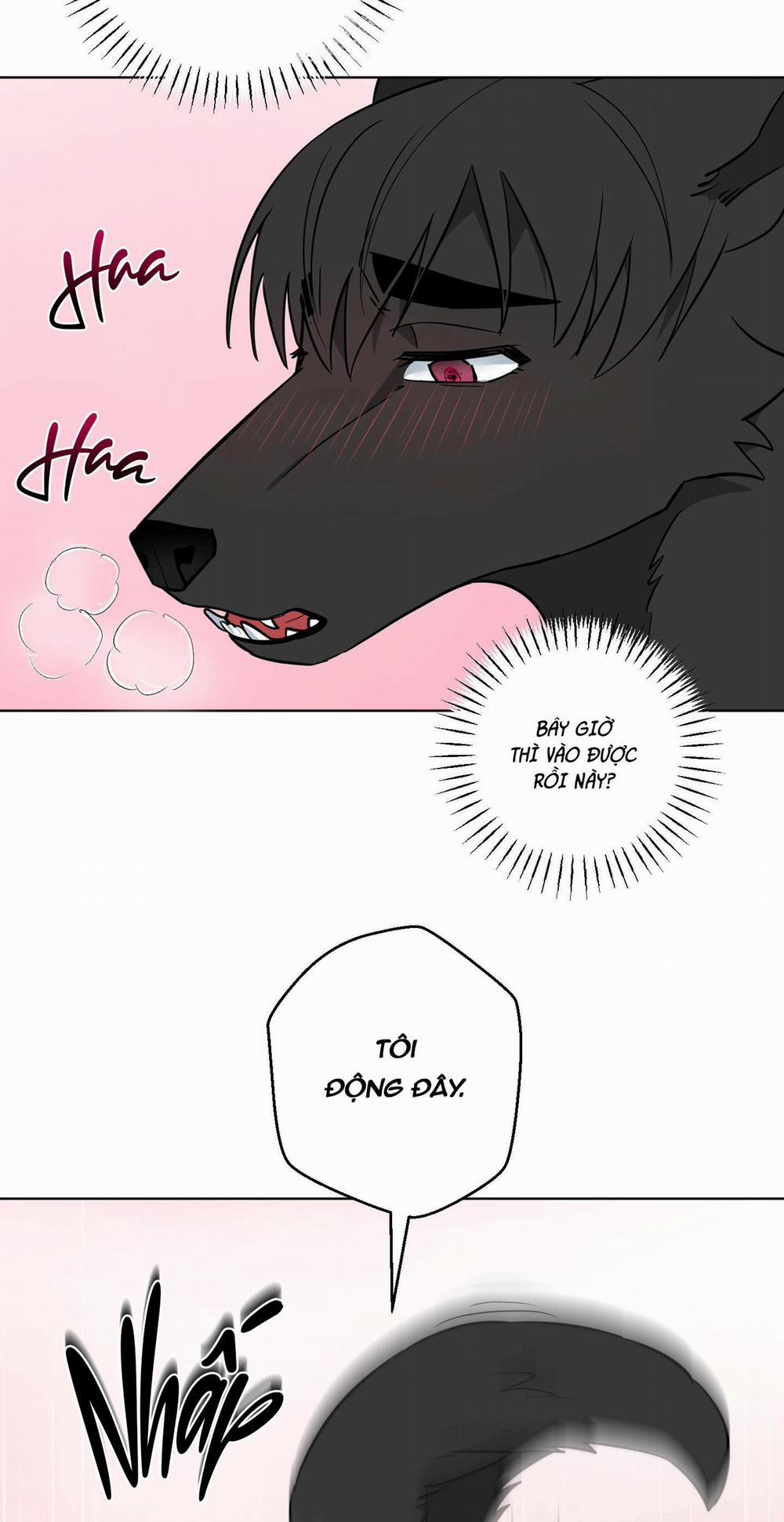 Chú Đã Biết Hết Rồi Sao ? 27 trang 8