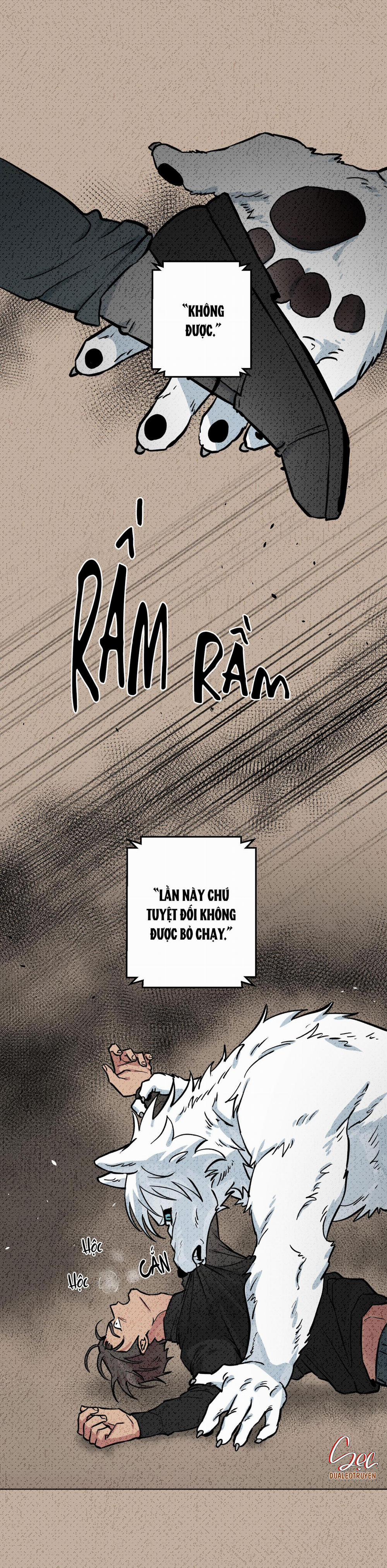 Chú Đã Biết Hết Rồi Sao ? 4 trang 11