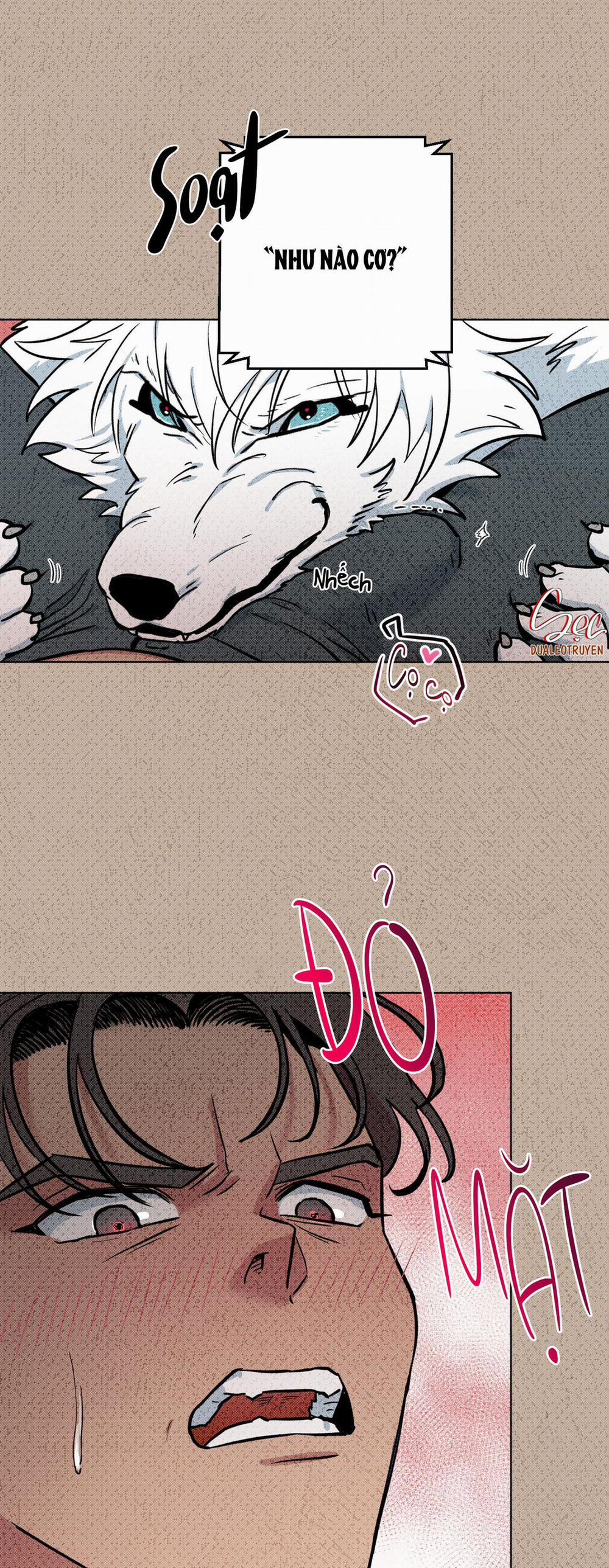 Chú Đã Biết Hết Rồi Sao ? 4 trang 13