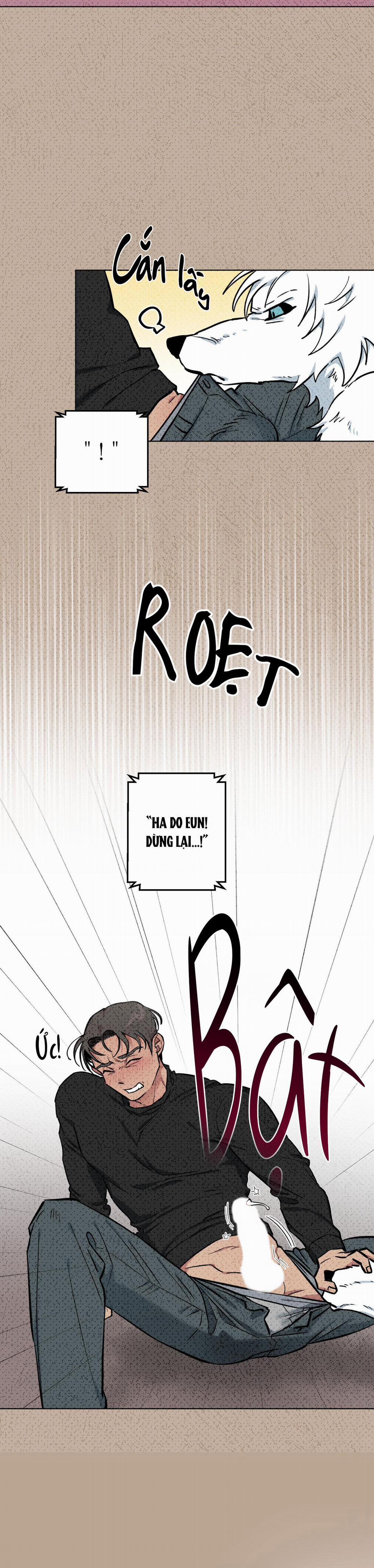 Chú Đã Biết Hết Rồi Sao ? 4 trang 15