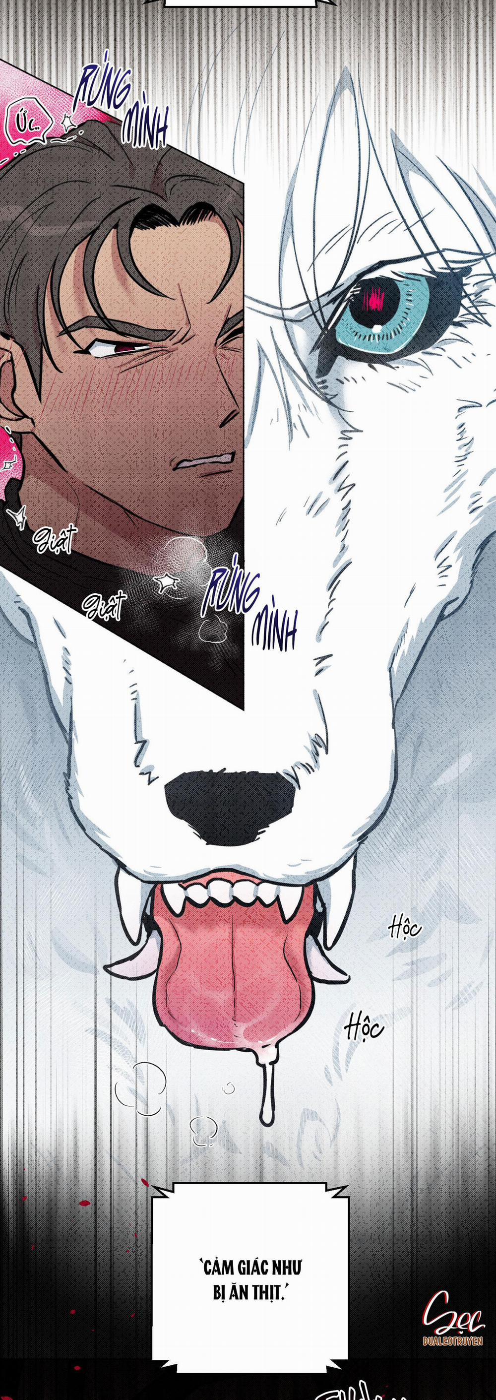 Chú Đã Biết Hết Rồi Sao ? 4 trang 18