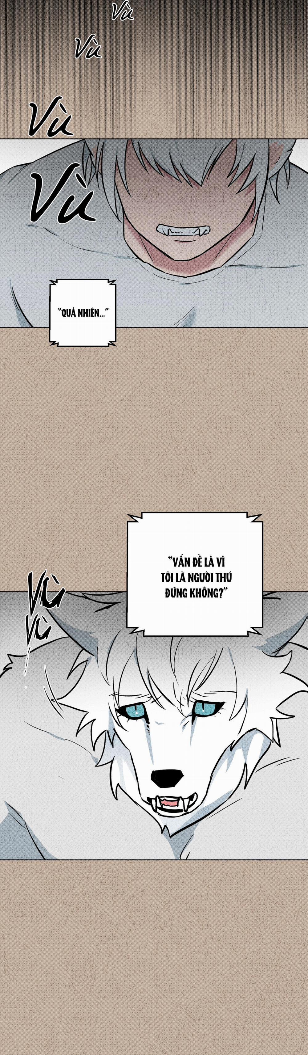 Chú Đã Biết Hết Rồi Sao ? 4 trang 3