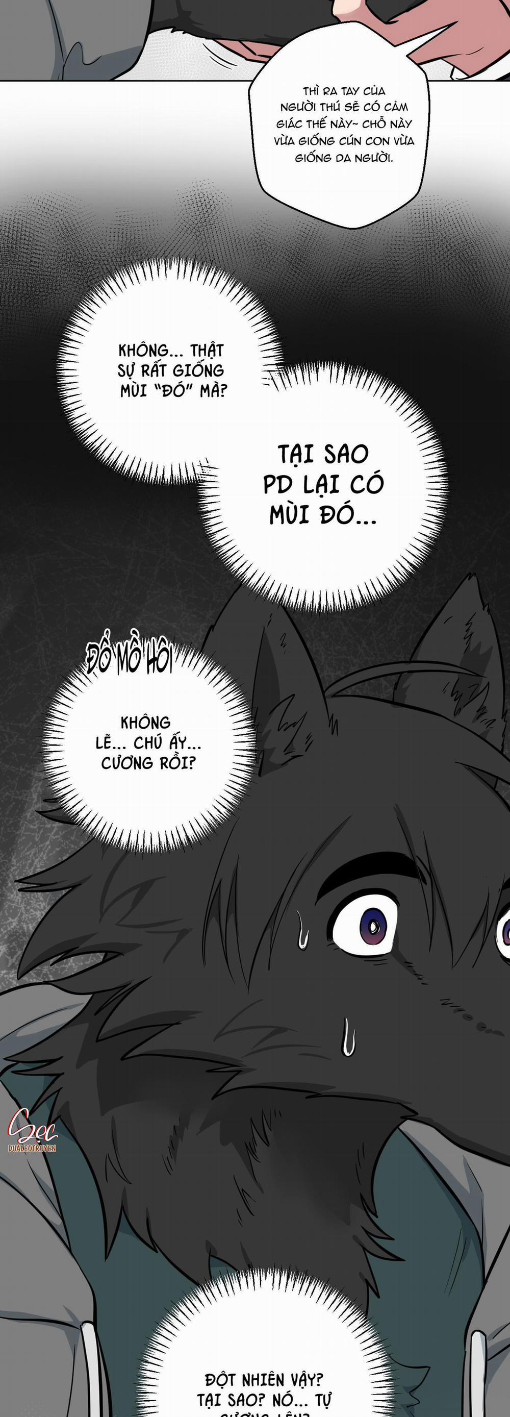 Chú Đã Biết Hết Rồi Sao ? 6 0 trang 17