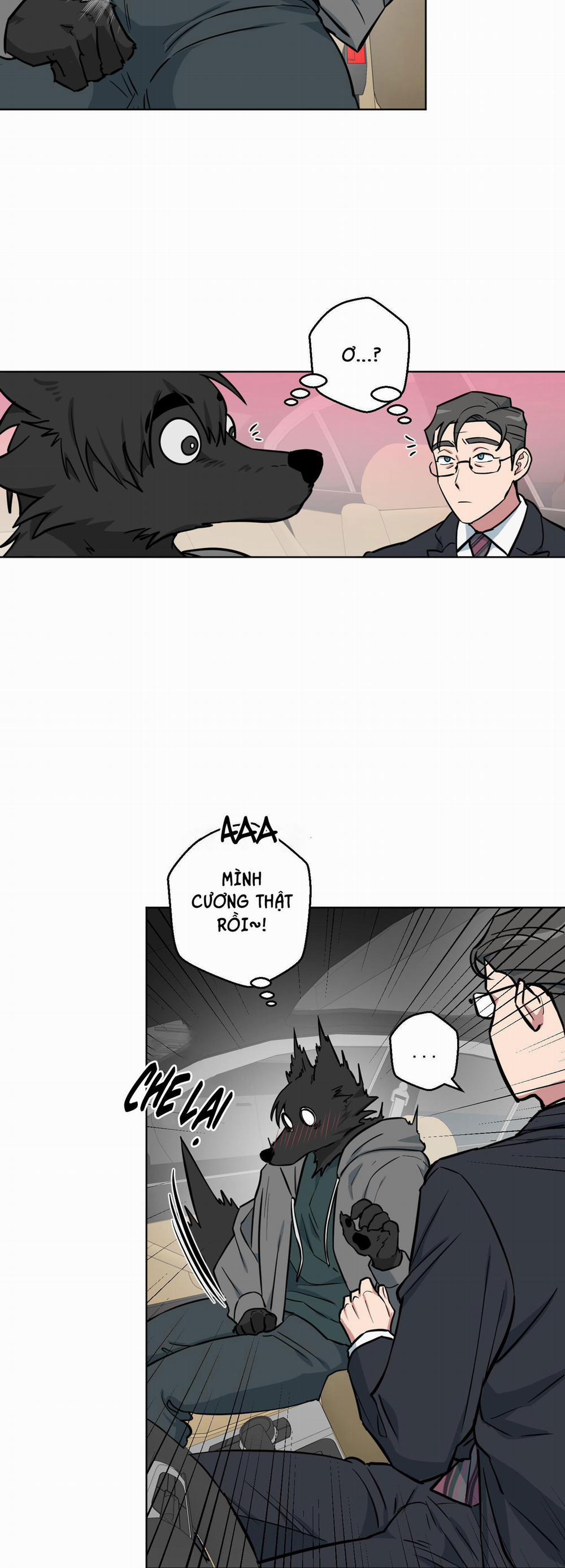 Chú Đã Biết Hết Rồi Sao ? 6 0 trang 20