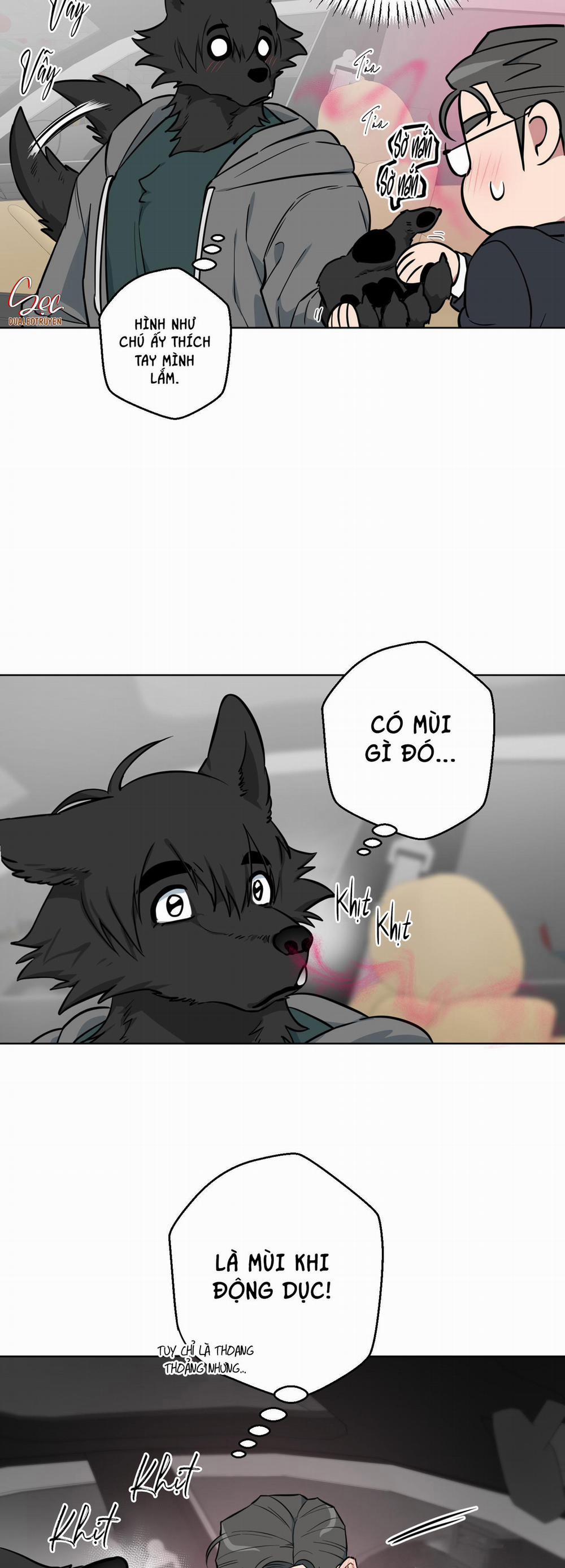 Chú Đã Biết Hết Rồi Sao ? 6 trang 15