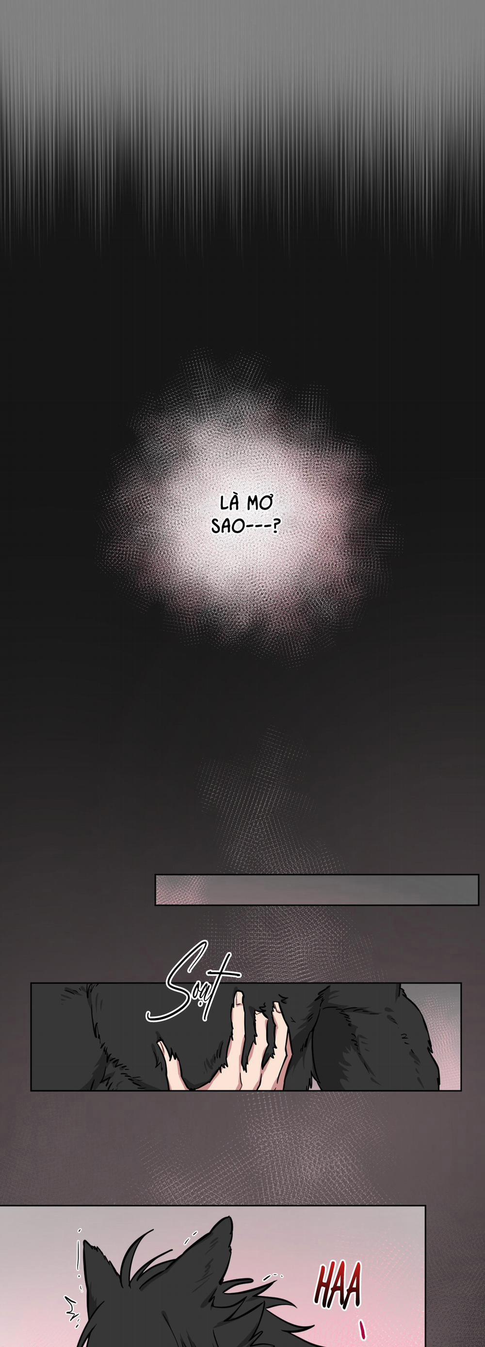 Chú Đã Biết Hết Rồi Sao ? 6 trang 28