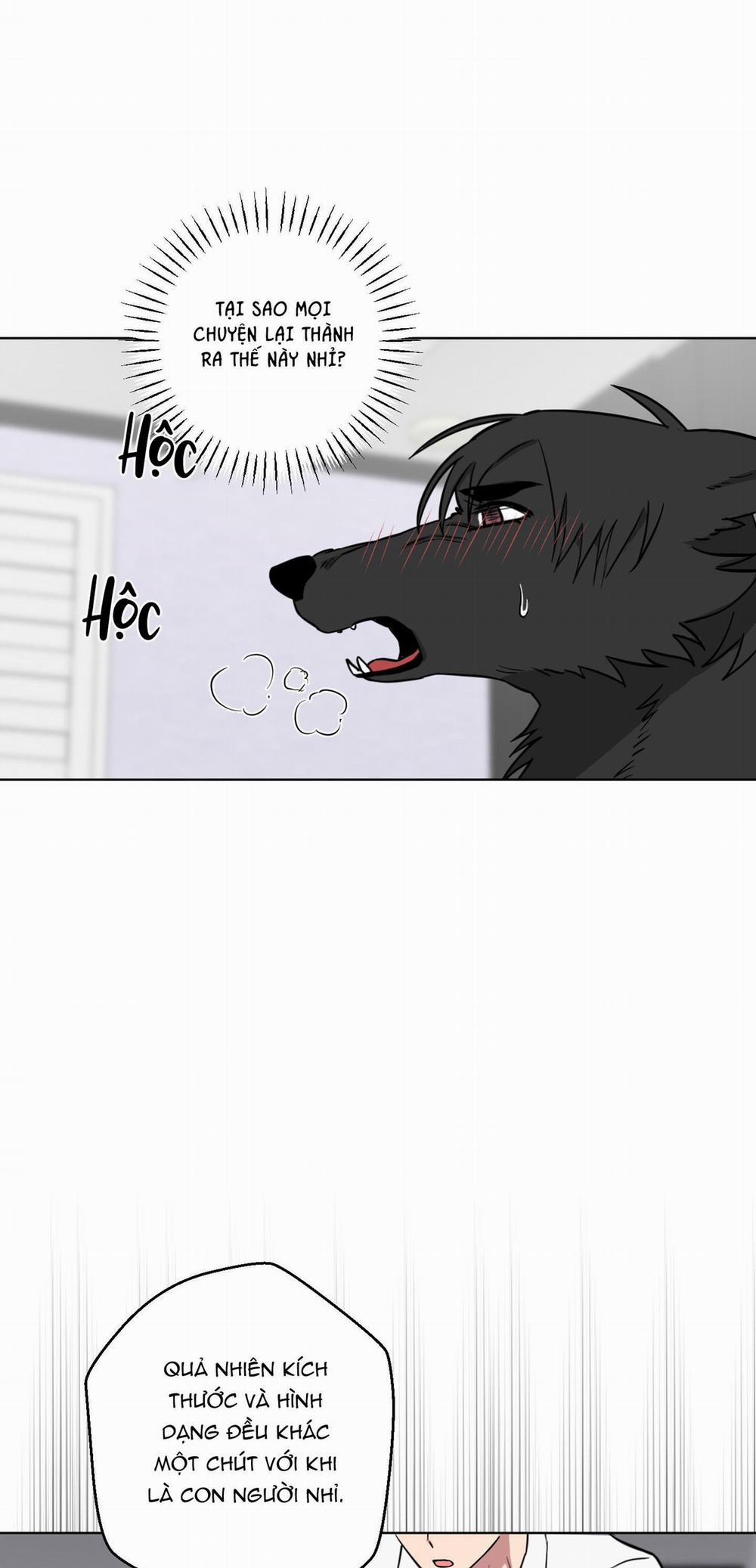 Chú Đã Biết Hết Rồi Sao ? 7 H+++ trang 2