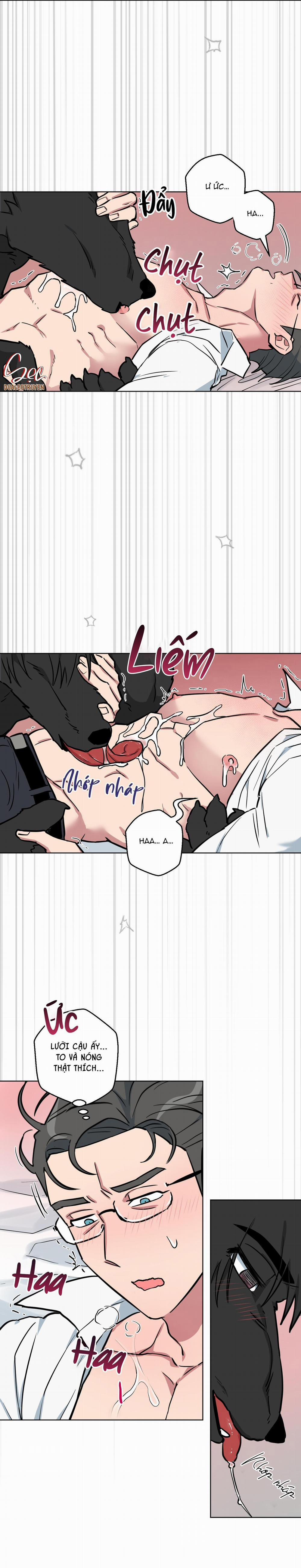 Chú Đã Biết Hết Rồi Sao ? 7 trang 17