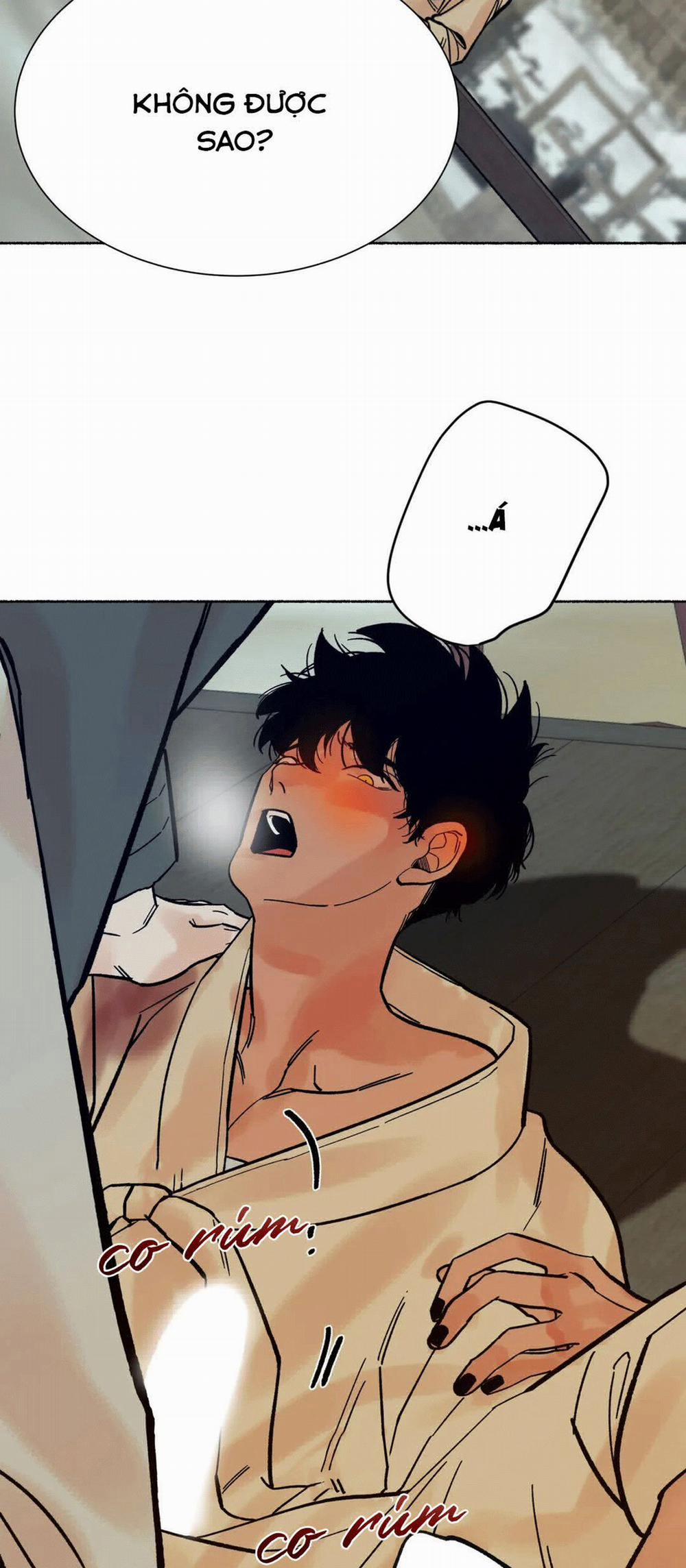 Chú Hổ Hoàng Kim 6 trang 45