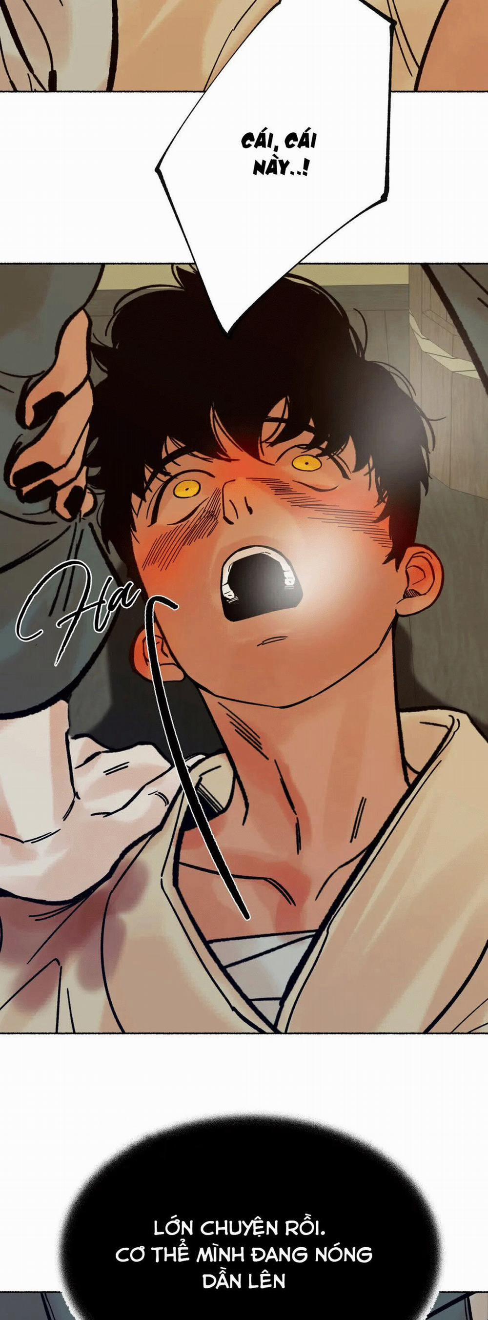 Chú Hổ Hoàng Kim 6 trang 46
