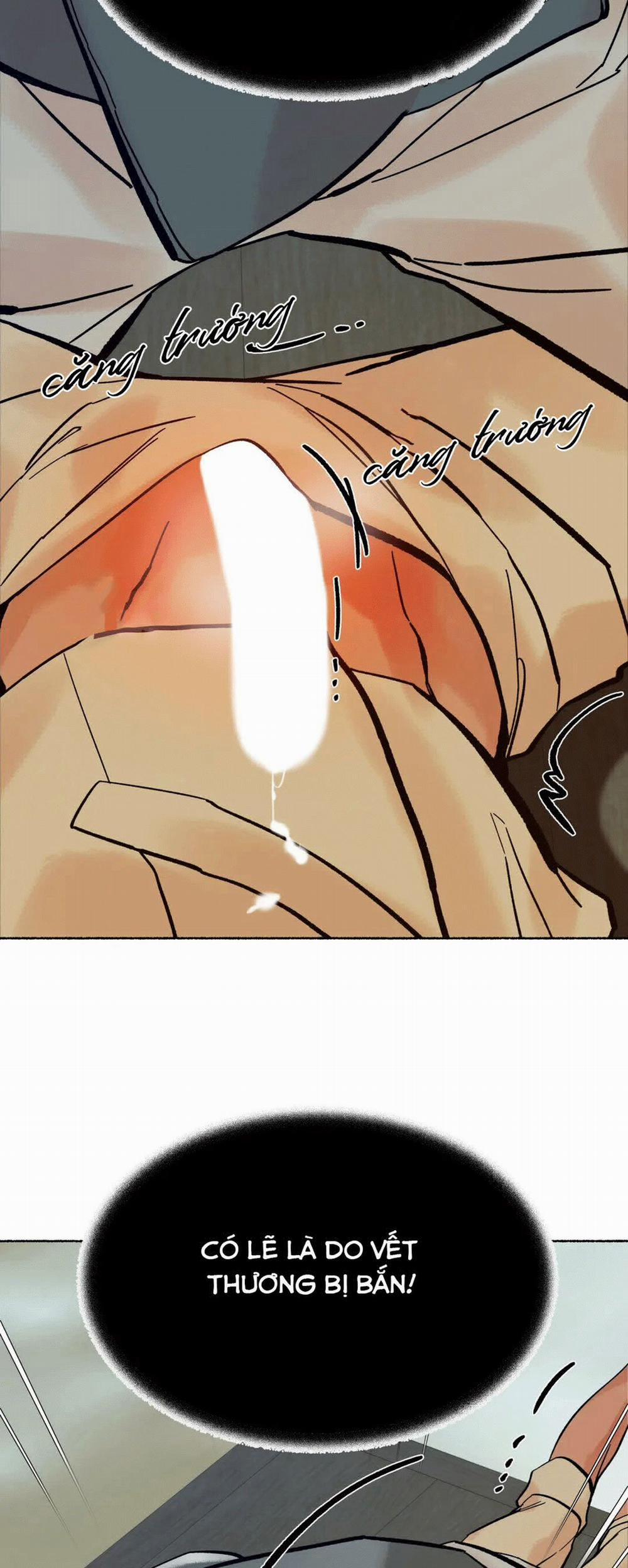 Chú Hổ Hoàng Kim 6 trang 47