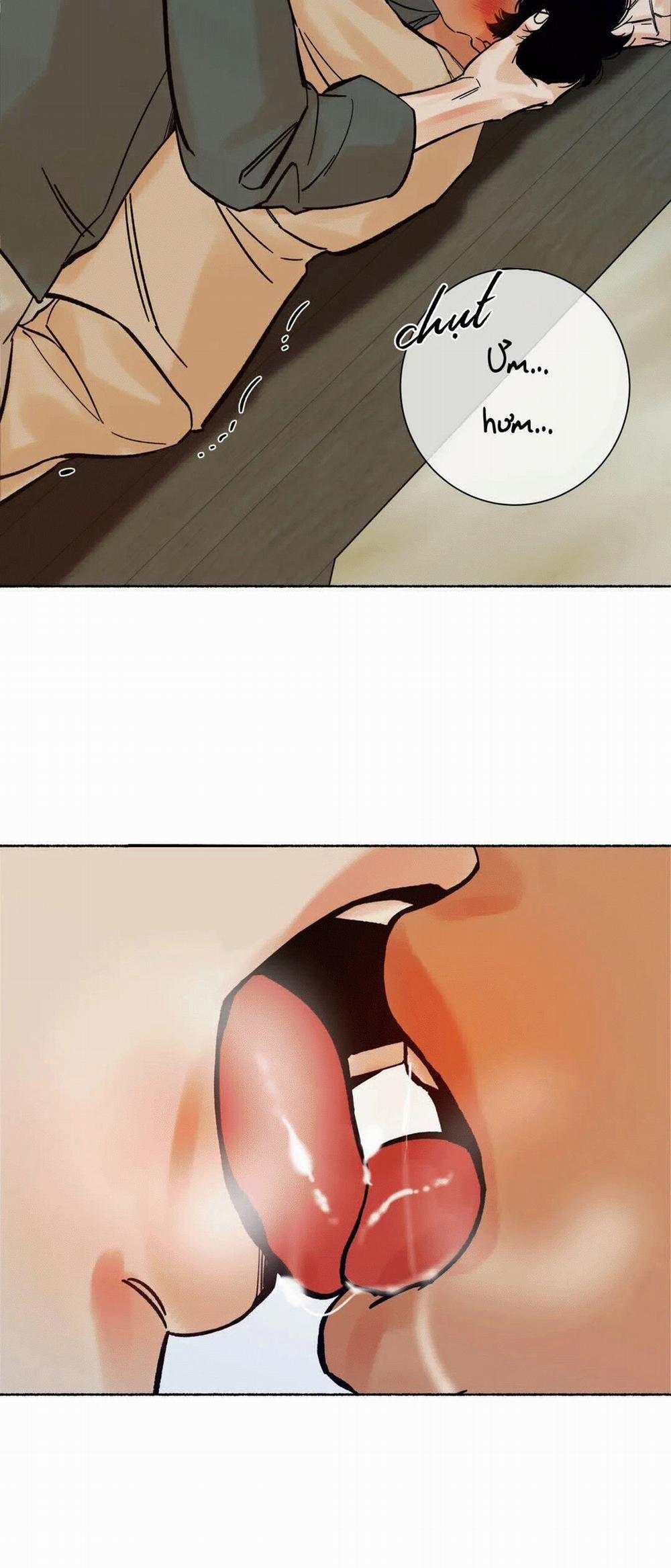 Chú Hổ Hoàng Kim 6 trang 5