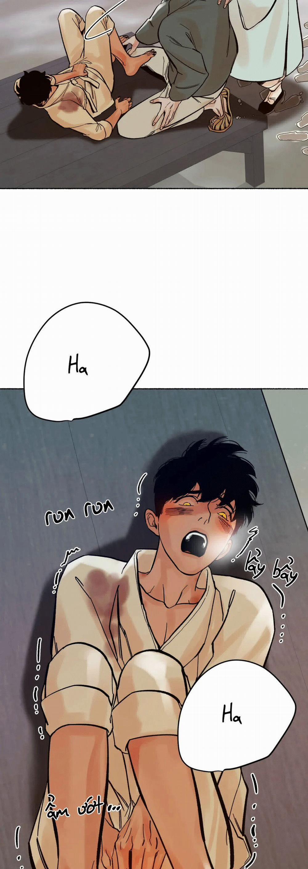 Chú Hổ Hoàng Kim 6 trang 7