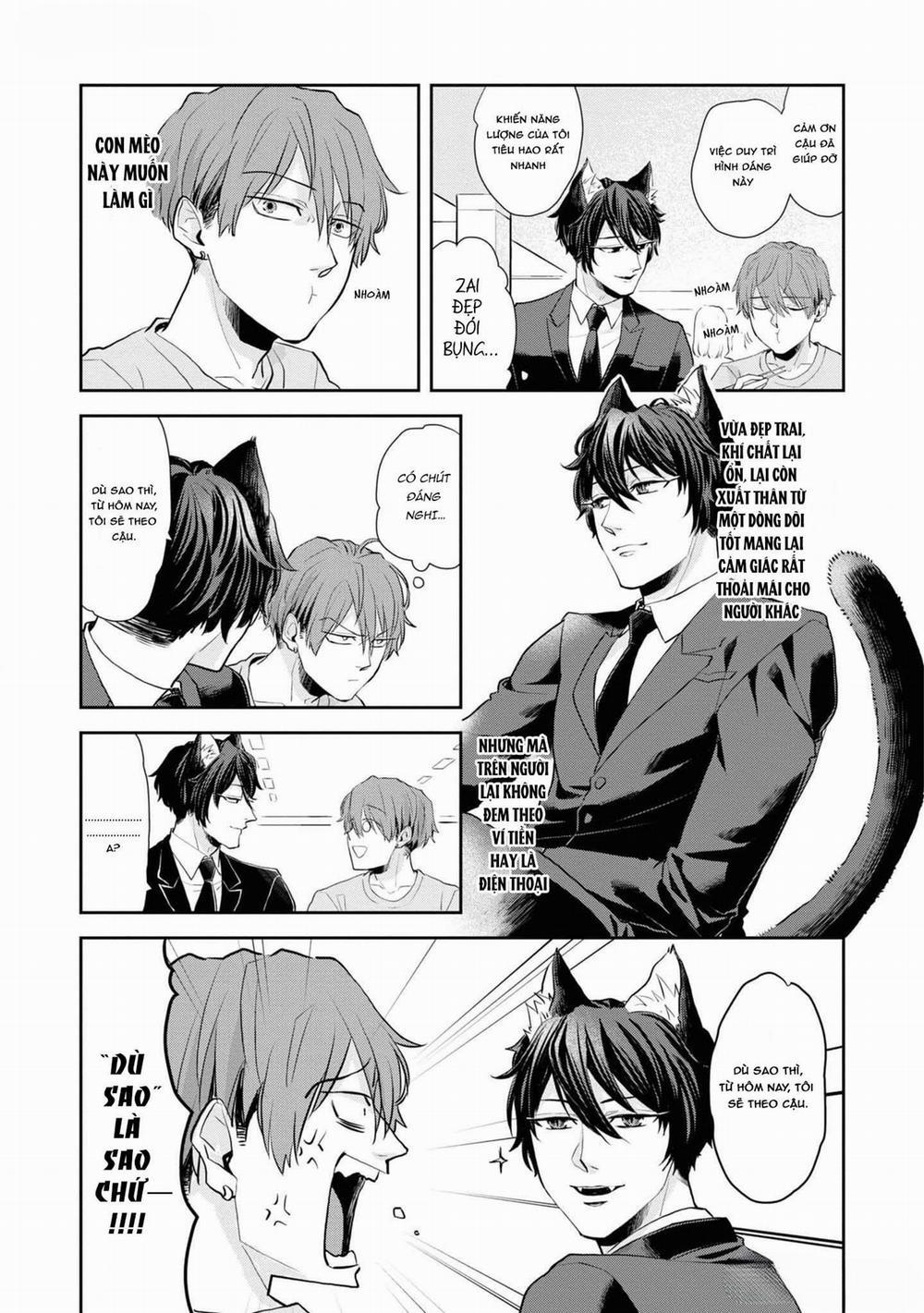 Chú Mèo Đẹp Trai Muốn Được Haruta Nuôi Dưỡng 1 trang 17