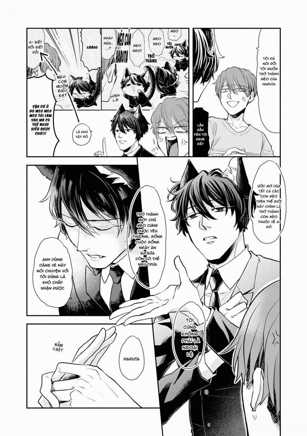 Chú Mèo Đẹp Trai Muốn Được Haruta Nuôi Dưỡng 1 trang 18