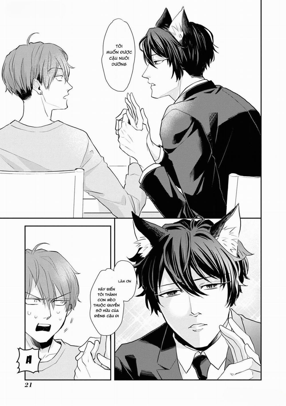 Chú Mèo Đẹp Trai Muốn Được Haruta Nuôi Dưỡng 1 trang 19