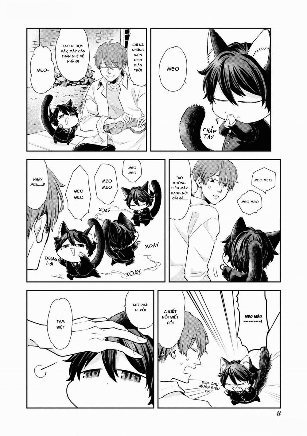 Chú Mèo Đẹp Trai Muốn Được Haruta Nuôi Dưỡng 1 trang 6