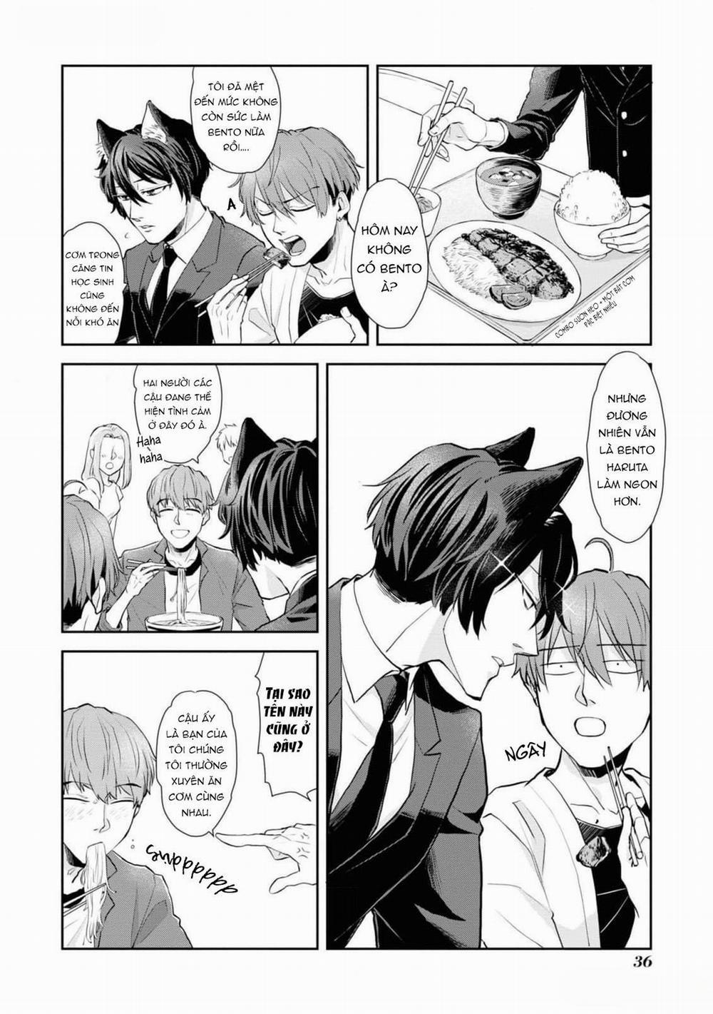 Chú Mèo Đẹp Trai Muốn Được Haruta Nuôi Dưỡng 2 trang 13