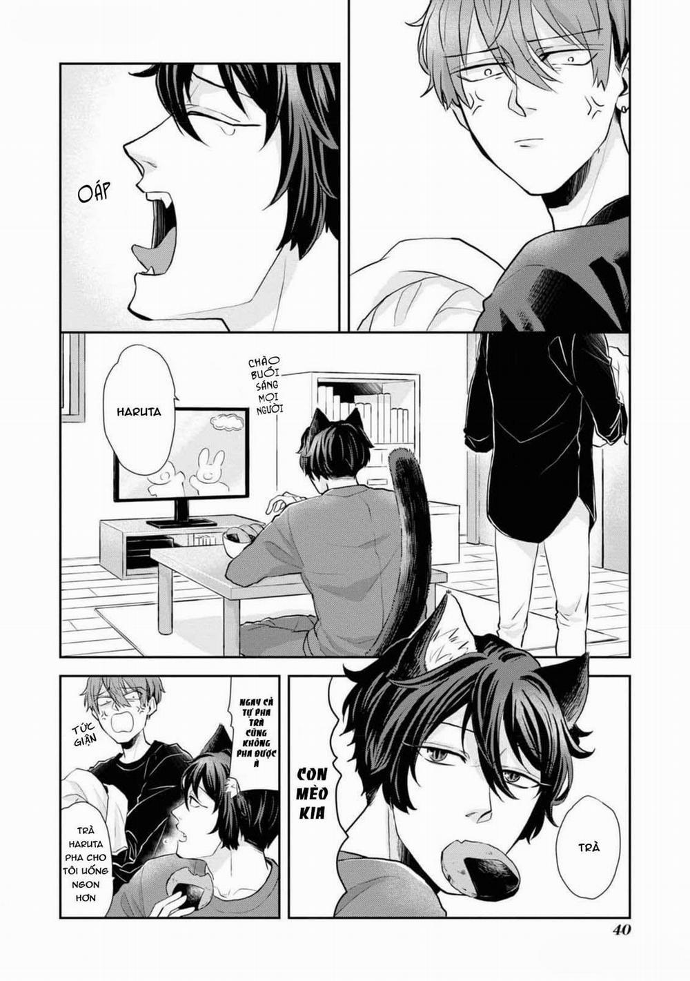 Chú Mèo Đẹp Trai Muốn Được Haruta Nuôi Dưỡng 3 trang 1