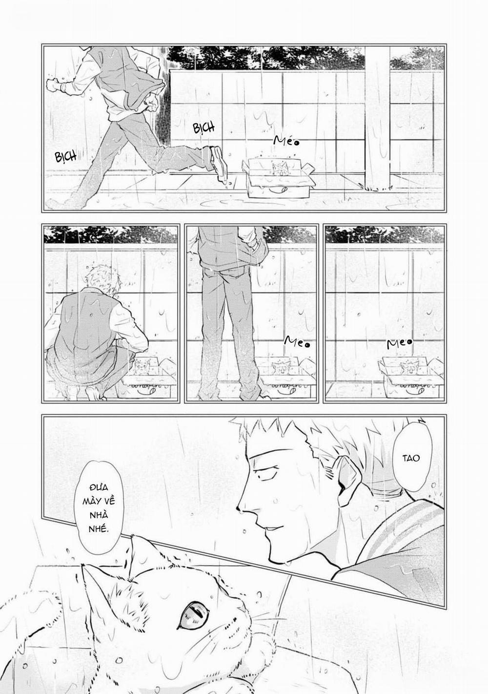 Chú Mèo Đẹp Trai Muốn Được Haruta Nuôi Dưỡng 5 trang 15