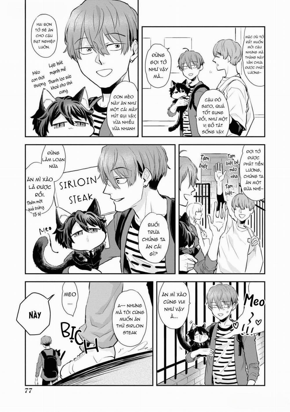 Chú Mèo Đẹp Trai Muốn Được Haruta Nuôi Dưỡng 5 trang 2
