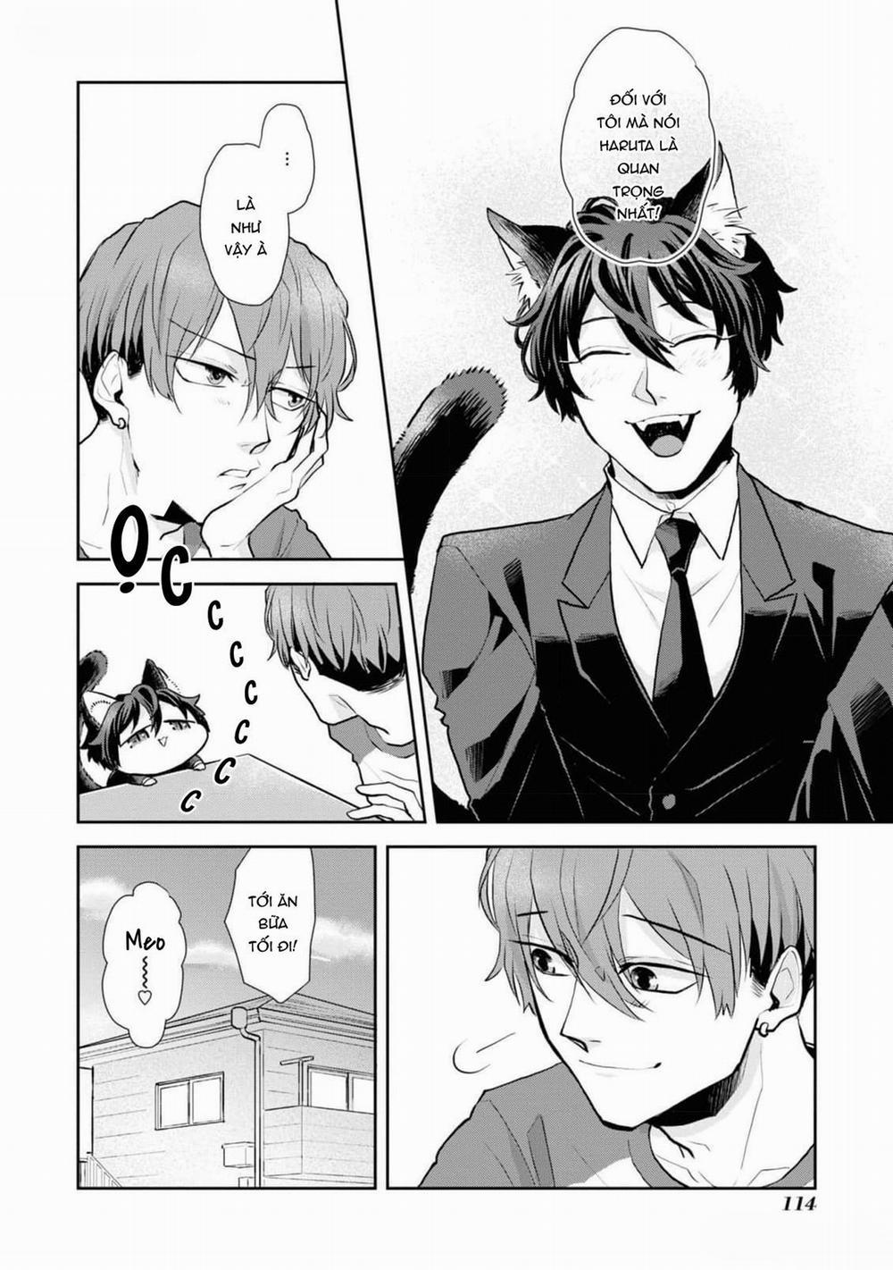 Chú Mèo Đẹp Trai Muốn Được Haruta Nuôi Dưỡng 6 trang 17