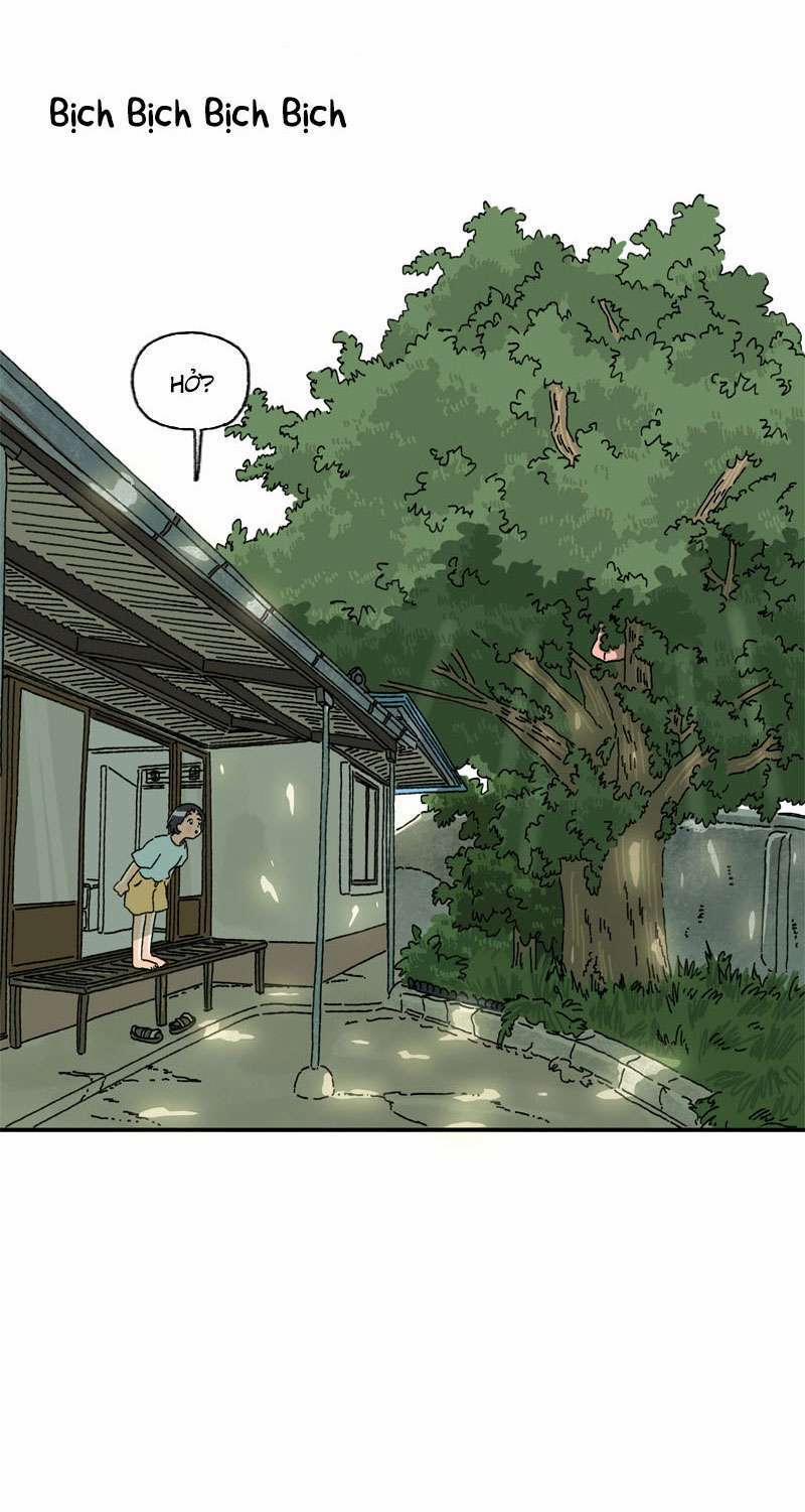 Chú Mèo Tata 1 trang 38