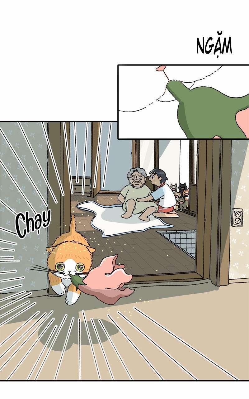 Chú Mèo Tata 3 trang 19