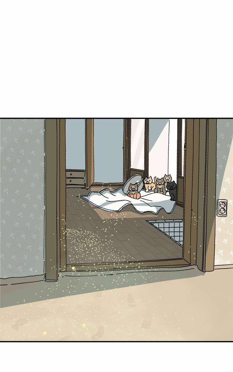 Chú Mèo Tata 3 trang 24