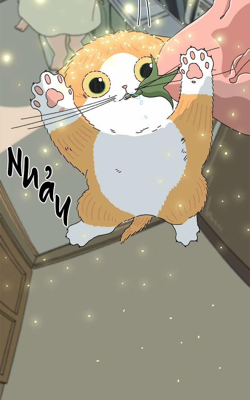 Chú Mèo Tata 3 trang 29
