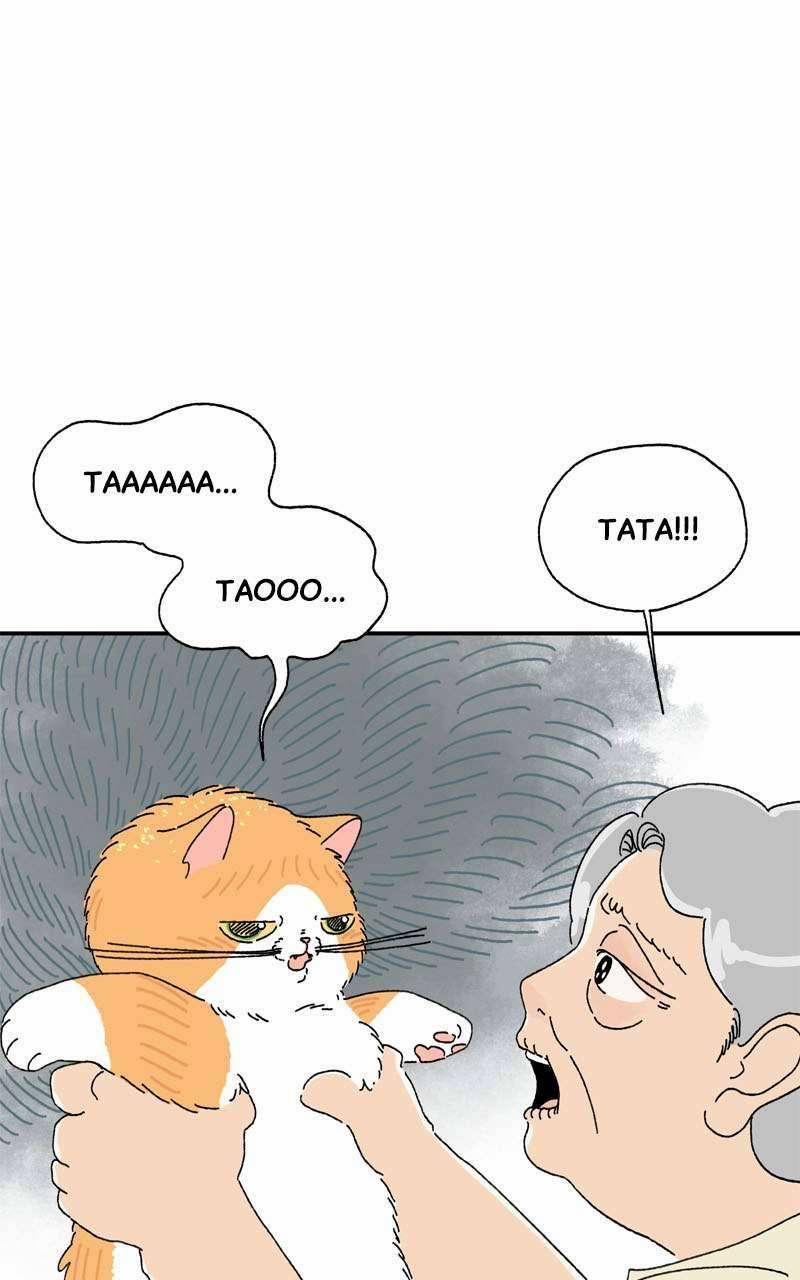 Chú Mèo Tata 3 trang 34