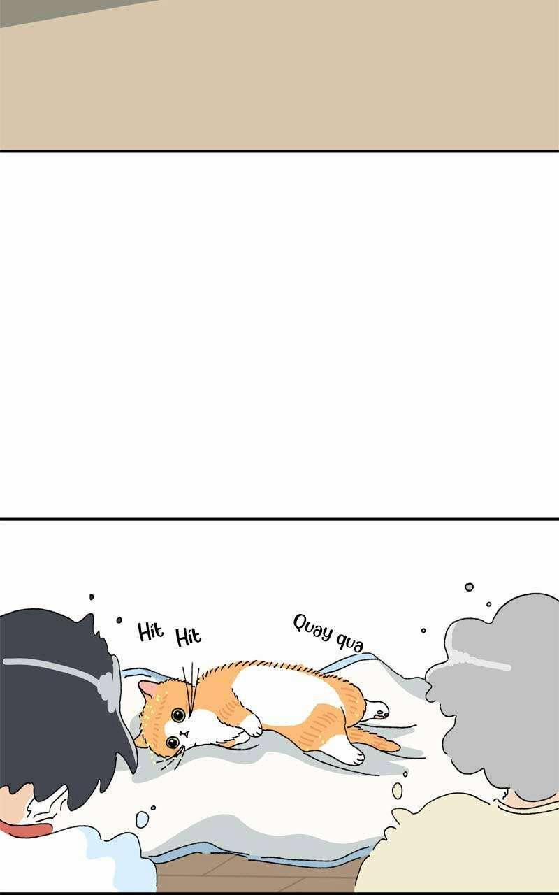 Chú Mèo Tata 3 trang 4