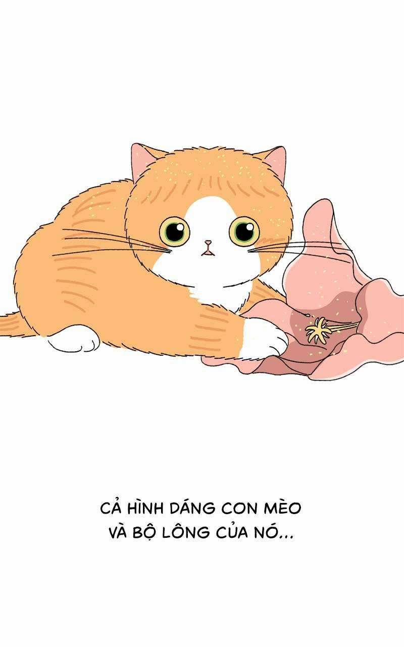 Chú Mèo Tata 3 trang 52