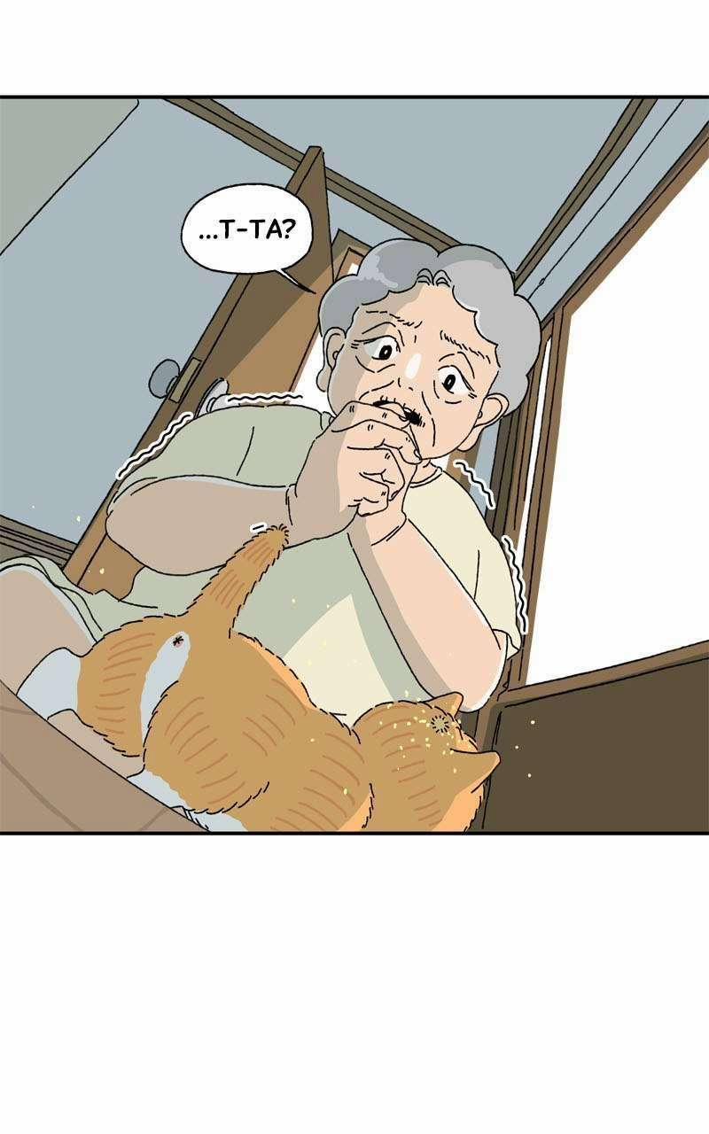 Chú Mèo Tata 3 trang 8