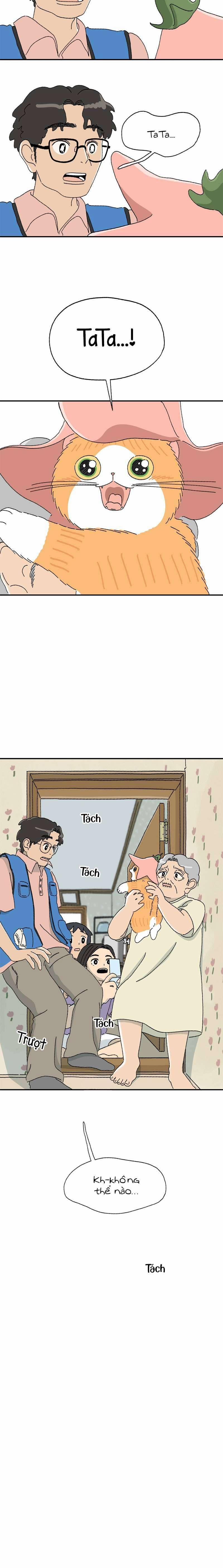 Chú Mèo Tata 5 trang 8