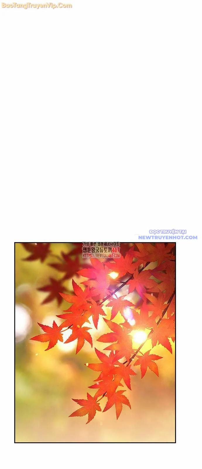 Chữa Lành Cuộc Sống Thông Qua Cắm Trại Ở Thế Giới Khác 48 trang 4