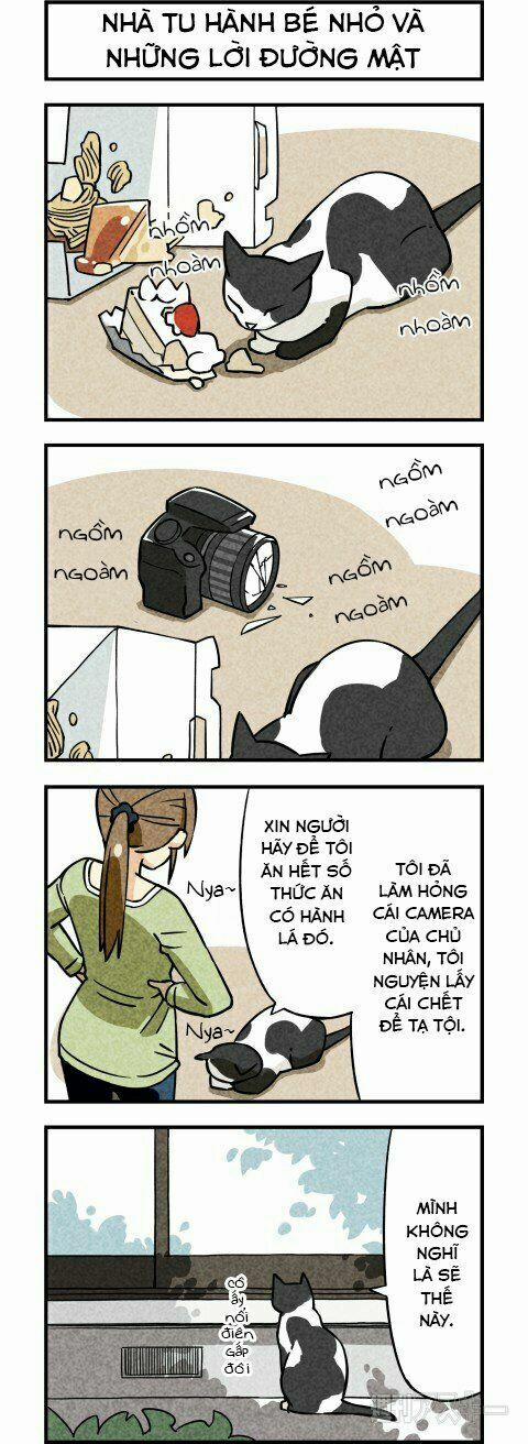 Chúng Tôi Là Mèo 3 trang 2