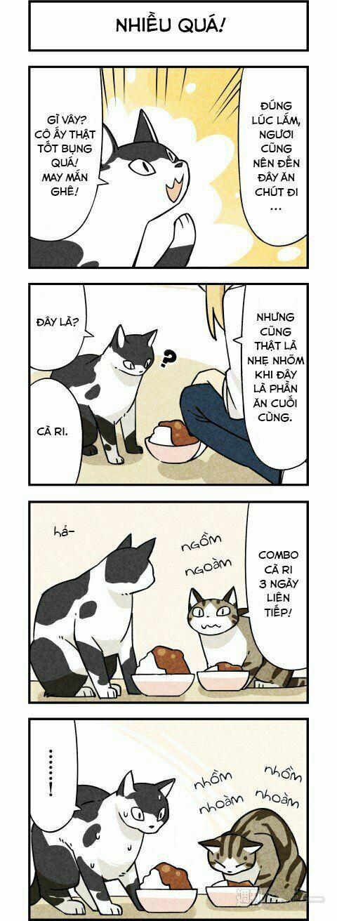 Chúng Tôi Là Mèo 3 trang 4