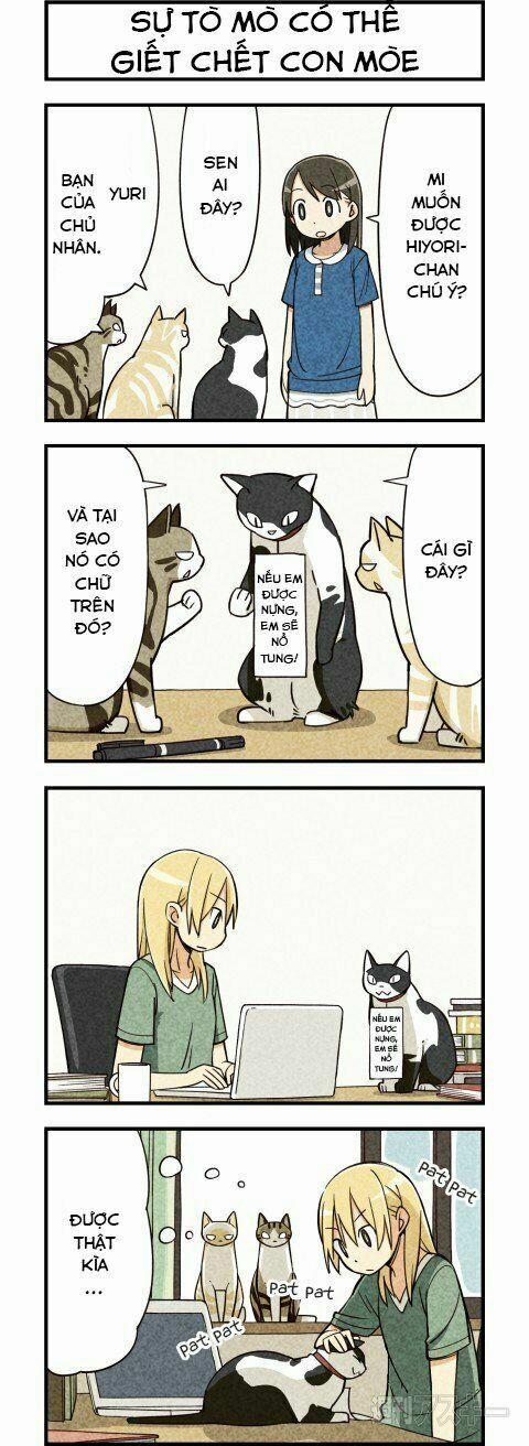 Chúng Tôi Là Mèo 5 trang 4